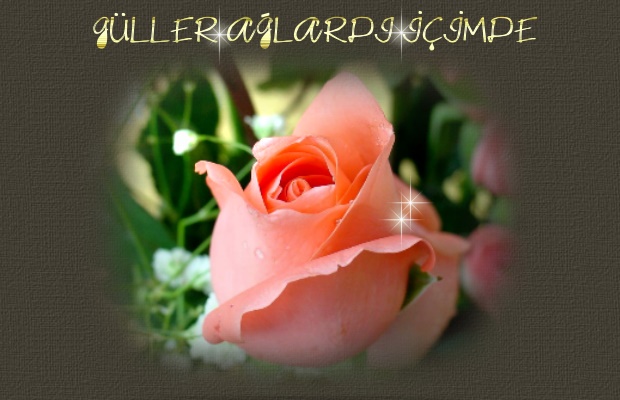 Guller Agladi Icimde